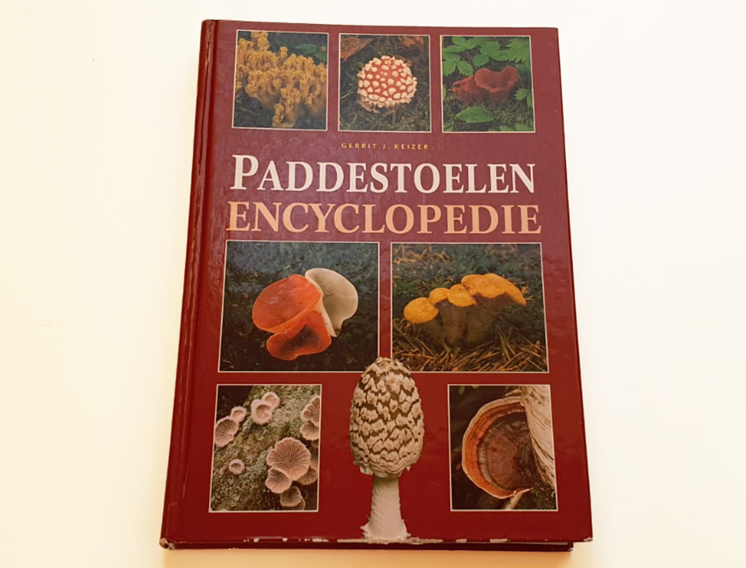 paddenstoelen encyclopedie